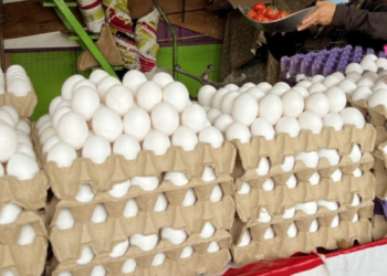 ¿Por qué sigue subiendo el precio del huevo?, las marcas más caras en México reveladas por la Profeco