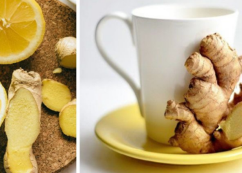 ¿Resfriado y tos? Conoce los beneficios de tomar té de jengibre y cómo prepararlo