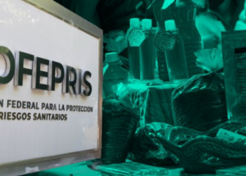 Cofepris alerta por estos productos naturistas contra el dolor que pueden dañar los riñones