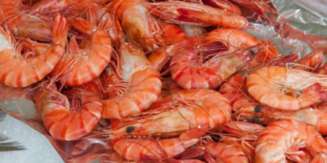 Ecuador responde a México sobre los camarones de Sinaloa: “El mundo tiene un gusto más refinado”