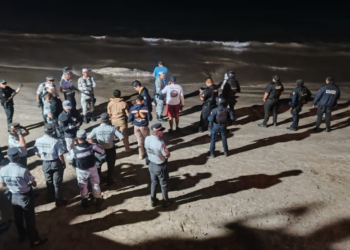 Operadora y Administradora de Playas coadyuva con autoridades competentes para remolcar ballena sin vida