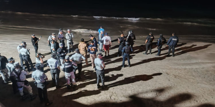 Operadora y Administradora de Playas coadyuva con autoridades competentes para remolcar ballena sin vida