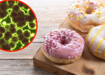 Piden retirar de manera URGENTE miles de DONAS de una famosa marca, están contaminadas con una peligrosa BACTERIA