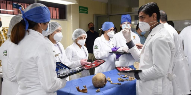 La UAS iniciará el próximo sábado en algunas de sus preparatorias cursos de preparación para el Examen de Admisión 2025 en el área de la salud