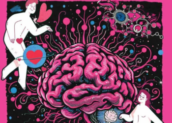 Te amo con todo mi cerebro”; flechazo, química pura