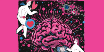 Te amo con todo mi cerebro”; flechazo, química pura