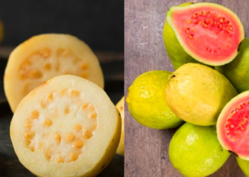 Semillas de guayaba: Un remedio natural para el estreñimiento y la salud digestiva