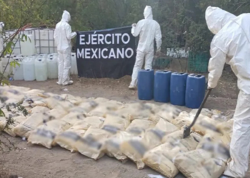 Operación Frontera Norte: suman 746 detenidos y 705 armas aseguradas