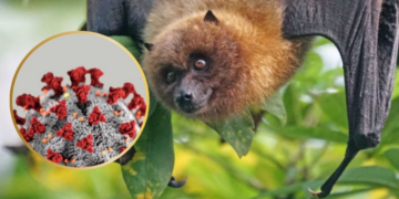 Hallan nueva cepa misteriosa de Covid-19 con potencial para atacar más rápido