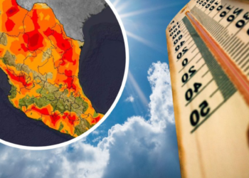 Ola de CALOR en México 2025 se aproxima con temperaturas mayores a 40 grados, ¿Qué estados afectará?