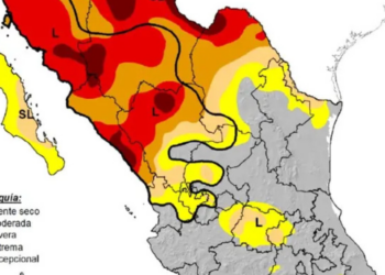 Aumenta a 55.1% superficie afectada en México por la sequía