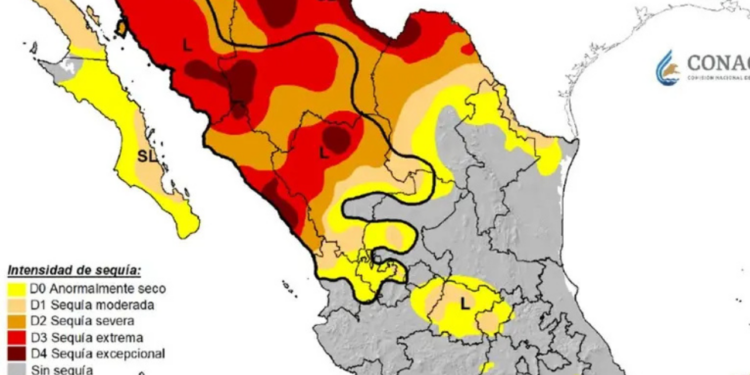 Aumenta a 55.1% superficie afectada en México por la sequía