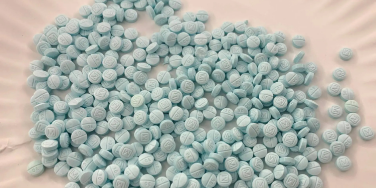 Sheinbaum asegura que también hay traficantes y fentanilo que van de EE.UU. a México