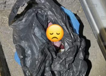 Abuela del bebé abandonado en Tultitlán se queda con la custodia; rechaza ayudar a su hijo