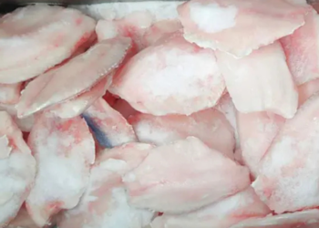 Riesgos de comprar pescado congelado y cómo evitarlos