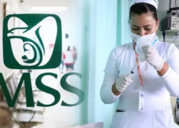 IMSS abrirá más de 8 mil plazas para médicos especialistas; ¿Cuándo lanzan la convocatoria?