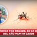 Baja índice por dengue, en lo que va del año van 110 casos