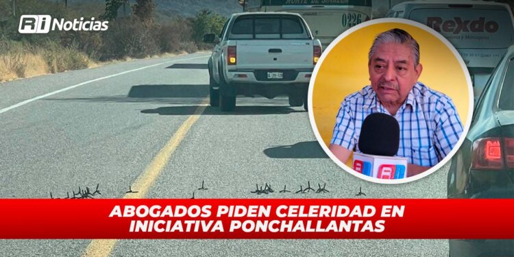 Abogados poden celeridad en iniciativa ponchallantas