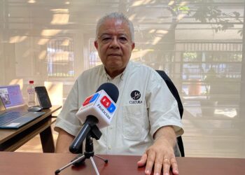 Desde el “Emilia Pérez” hasta los “Aranceles”: ¿Quién será quemado en el Carnaval de Mazatlán?