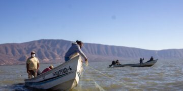 Inicia dispersión de más de mil 200 mdp para pago de Bienpesca