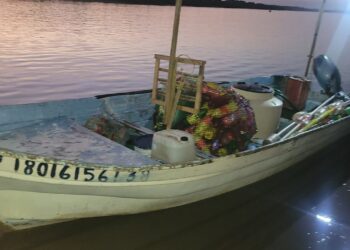 Retienen más de 86 toneladas de producto pesquero ilegal en 17 estados