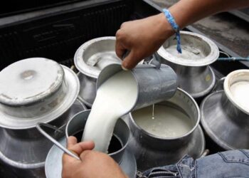 Productores lecheros exigen ajuste de precios ante incremento de costos