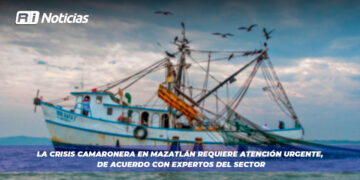 La crisis camaronera en Mazatlán requiere atención urgente, de acuerdo con expertos del sector