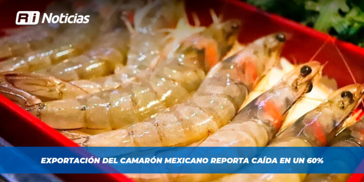 Exportación del camarón mexicano reporta caída en un 60%