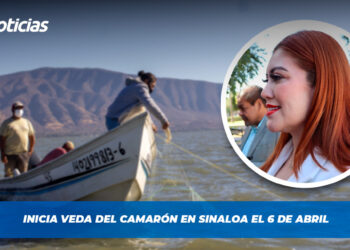 Inicia veda del camarón en Sinaloa el 6 de abril