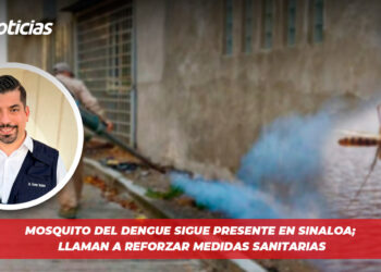 Mosquito del dengue sigue presente en Sinaloa; llaman a reforzar medidas sanitarias