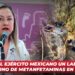 Localiza el Ejército Mexicano un laboratorio clandestino de metanfetaminas en Culiacán