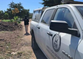 Localizan osamenta calcinada en Ejido El Alhuate, al sur de Culiacán