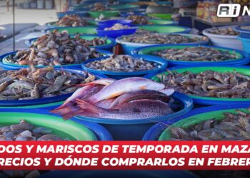 Pescados y mariscos de temporada en Mazatlán: precios y dónde comprarlos en febrero