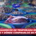 Pescados y mariscos de temporada en Mazatlán: precios y dónde comprarlos en febrero