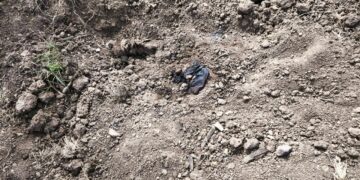 Localizan cuerpo semienterrado en el Ejido El Alhuate, Culiacán