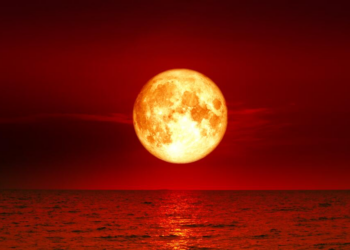 Violencia psicológica, el delito que más registra el IMMUJER contra las mujeres de Mazatlán