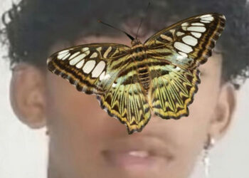 Niño muere por inyectarse una mariposa muerta por un reto viral