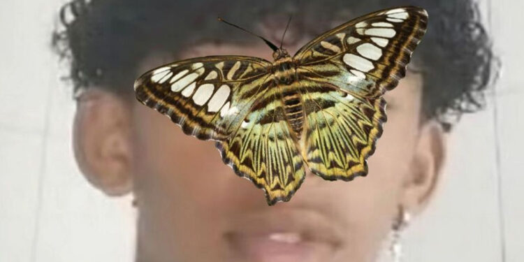 Niño muere por inyectarse una mariposa muerta por un reto viral