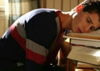 ¡Reese regresa! Justin Berfield confirma su participación en los nuevos capítulos de “Malcom el de en medio”