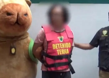 El Capibarismo: Policía de Perú se disfraza de capibara para atrapar criminal