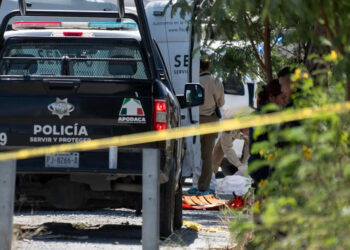 Homicidios caen 2.5% en enero y 6.2% en el primer cuatrimestre de Sheinbaum
