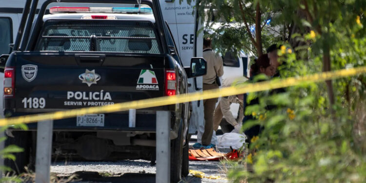 Homicidios caen 2.5% en enero y 6.2% en el primer cuatrimestre de Sheinbaum