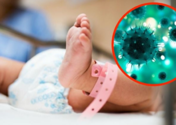 Nuevo coronavirus pasa de ratas a humanos en Corea del Sur, el primer paciente infectado fue un bebé
