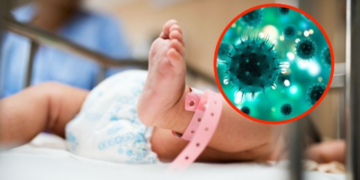Nuevo coronavirus pasa de ratas a humanos en Corea del Sur, el primer paciente infectado fue un bebé