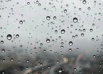 Frente frío 31 dejará lluvias y fuertes vientos; habrá temperaturas de más de 35 grados en 20 estados