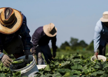 Trump anuncia aranceles a las importaciones agrícolas desde el 2 de abril