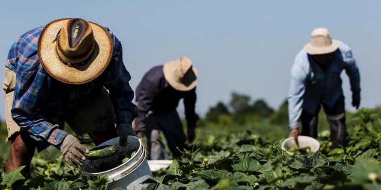 Trump anuncia aranceles a las importaciones agrícolas desde el 2 de abril