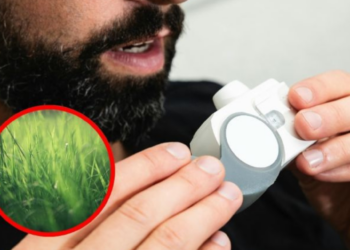 ¿Qué plantas son malas para los asmáticos? Estas son las más comunes y letales