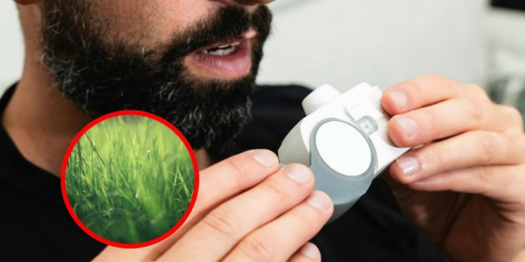 ¿Qué plantas son malas para los asmáticos? Estas son las más comunes y letales