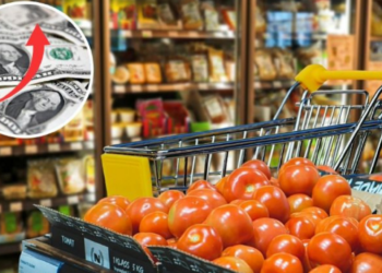 Exhiben alza de precios en huevo, verduras y fruta en EU tras políticas arancelarias de Donald Trump